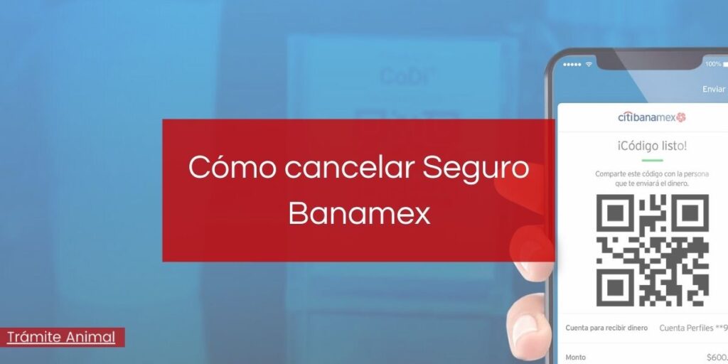 cancelar-seguro-banamex-1
